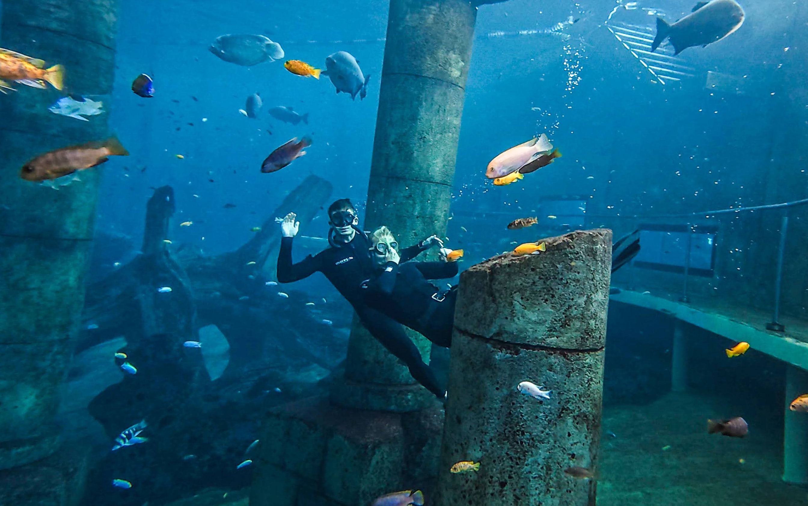 Freedivers at TODI among fish and underwater structures