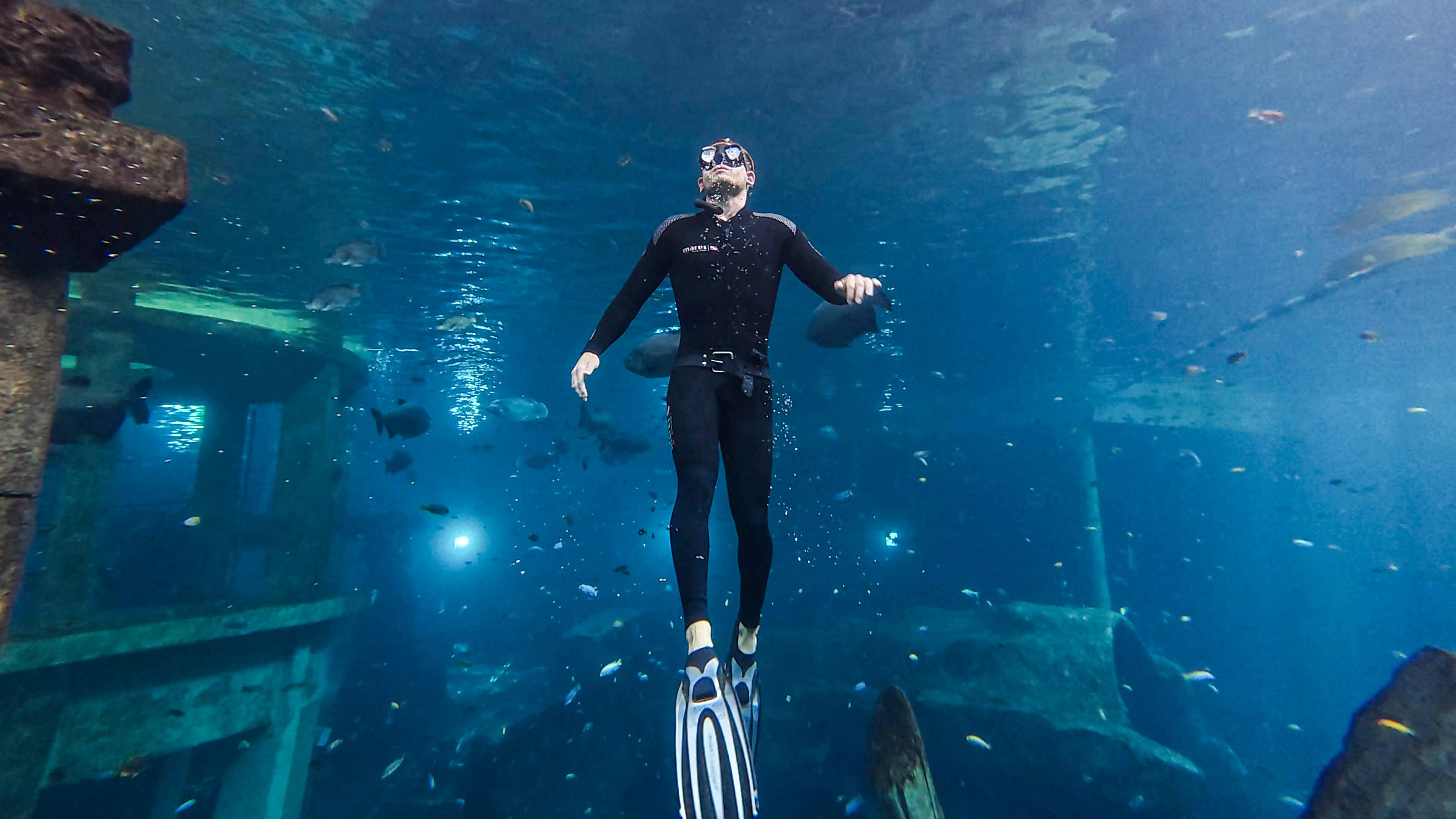 Freediver ascending at TODI with fish in the background
