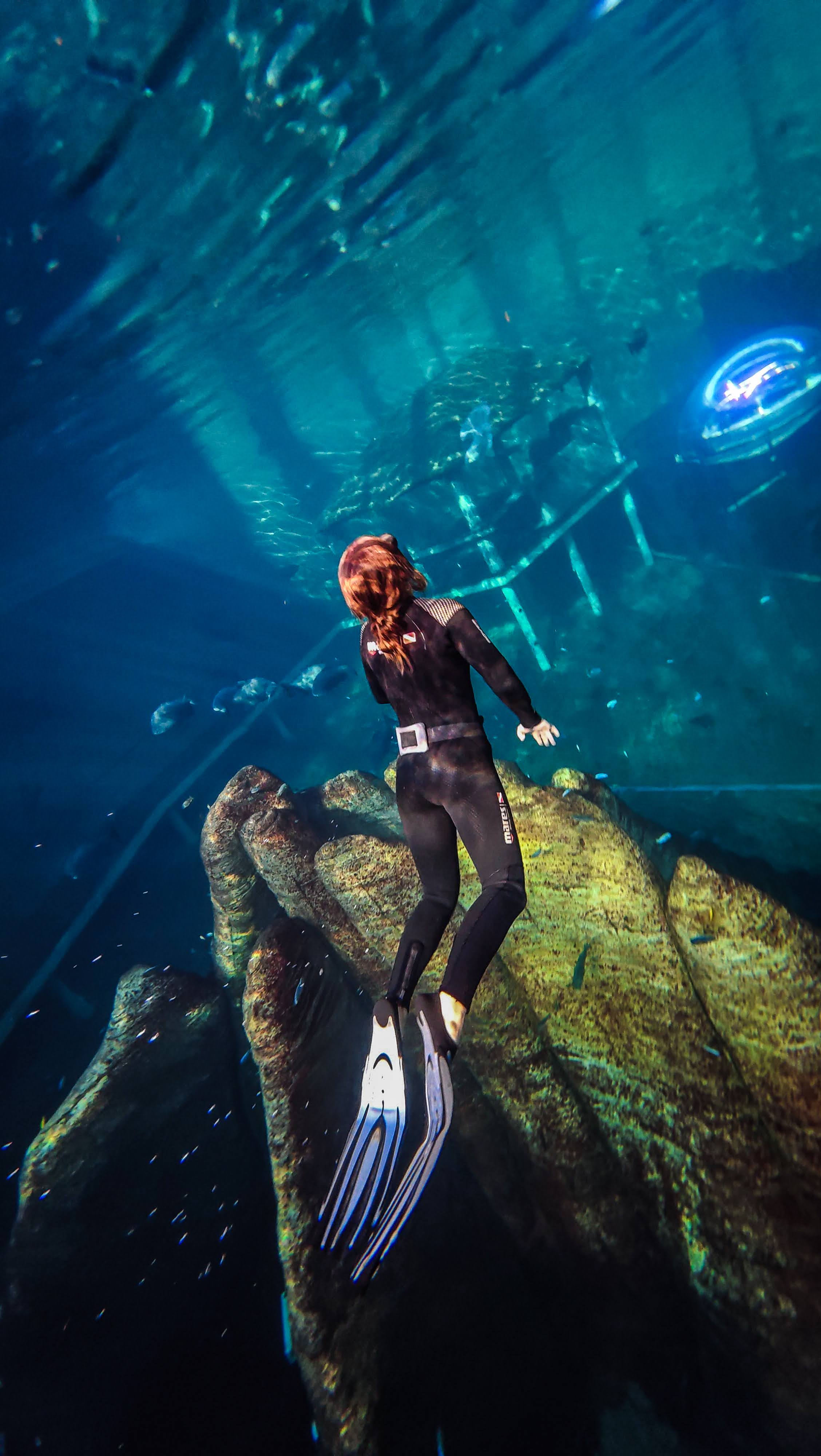Freediver exploring the TODI aquarium from above